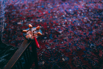 Close-up of autumn leaves on wood