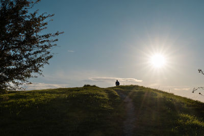 Scenic view of field against bright sun