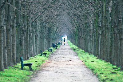 Man walking on dirt road in forest