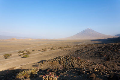 Scenic view of landscape against clear sky