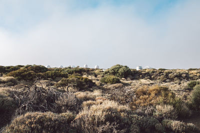 Scenic view of land against clear sky