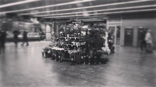 Market stall for sale