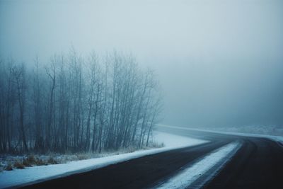 Road by bare trees against sky during winter