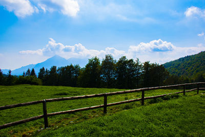 Scenic view of field against sky