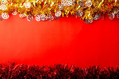 Close-up of red flowering plants against wall