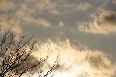 Low angle view of bare trees against cloudy sky