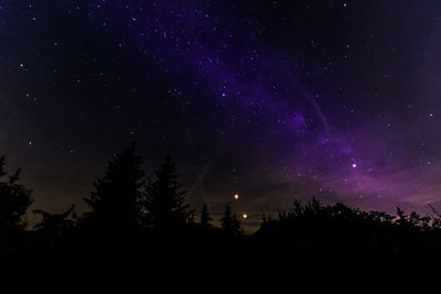 Low angle view of silhouette trees against sky at night