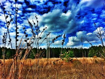 Scenic view of field against cloudy sky