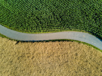 High angle view of agricultural field