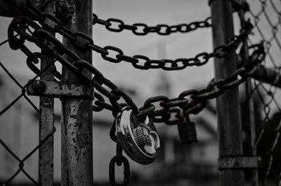 Close-up of chain hanging on metal fence