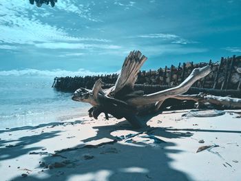 Driftwood on snow covered land by sea against sky