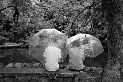 Rear view of people with umbrellas by pond on seat at forest