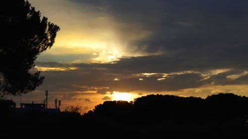 Low angle view of silhouette trees against sky during sunset