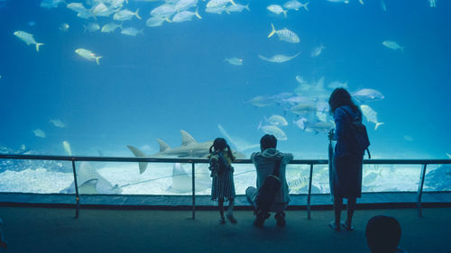 Family at aquarium