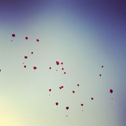 Colorful balloons over white background