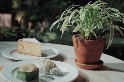 Close-up of potted plant on table