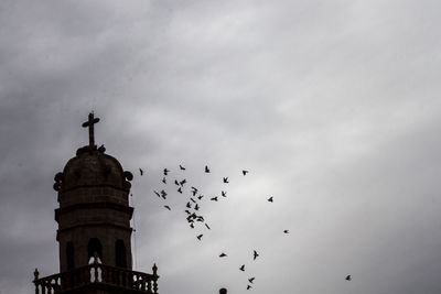 Low angle view of birds flying in sky
