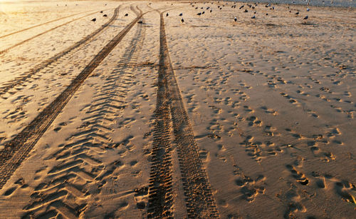 Full frame shot of tire tracks and footprints on wet sand during sunny day