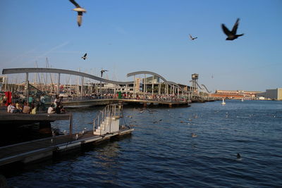 Seagulls flying over river against sky