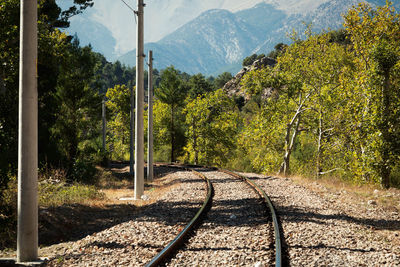 Railroad track amidst trees in forest