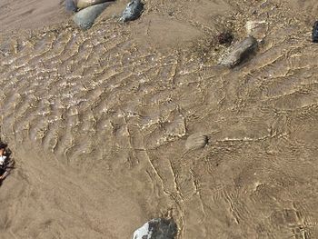 High angle view of footprints on sandy beach