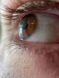 Close-up of human eye