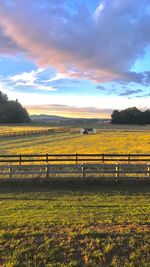Scenic view of field against sky during sunset