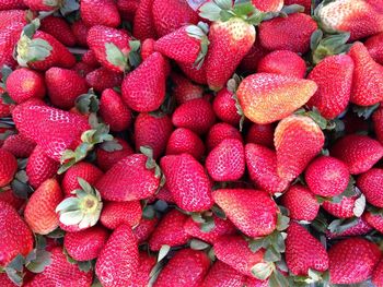 Full frame shot of strawberries