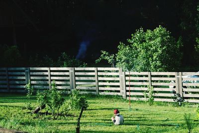 Rear view of man on field against trees