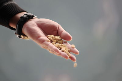 Close-up of person holding hands