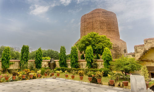 Plants outside temple against building