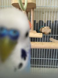 cage