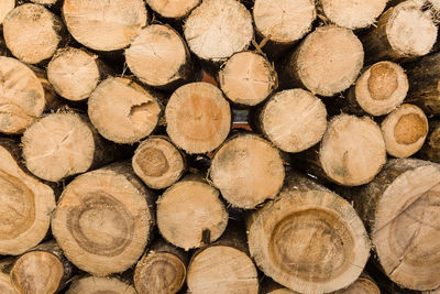 Full frame shot of stacked logs