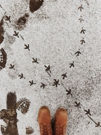 Low section of person standing on sand