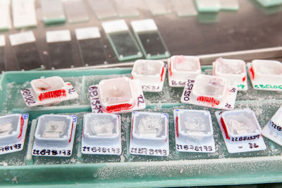 Frozen blocks of paraffin embedded tissue kept cold on ice ready to be cut using a microtome. 