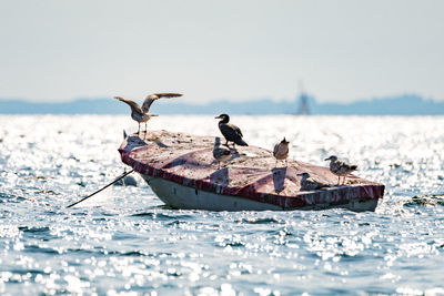 View of boats in water