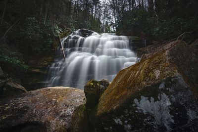 View of waterfall in forest