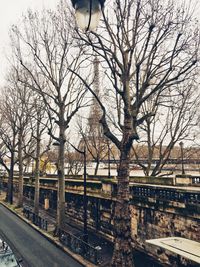 Bare trees by city against sky