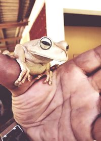 Close-up of hands holding hands