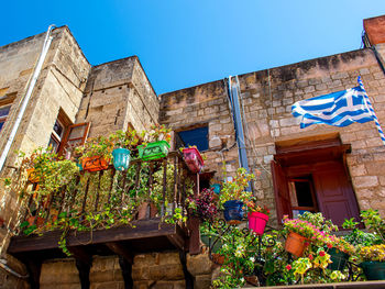 Low angle view of potted plants against building