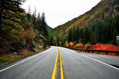 Road amidst trees against sky