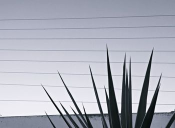Low angle view of sky