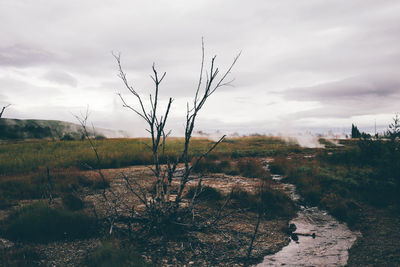 Scenic view of field against cloudy sky