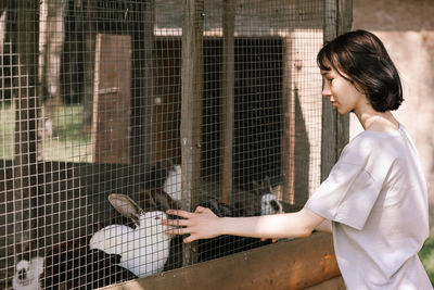 A girl feeds spotted deer and rabbits on the farm