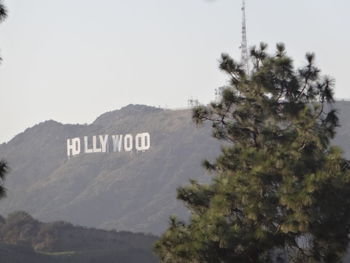 Text on tree against clear sky