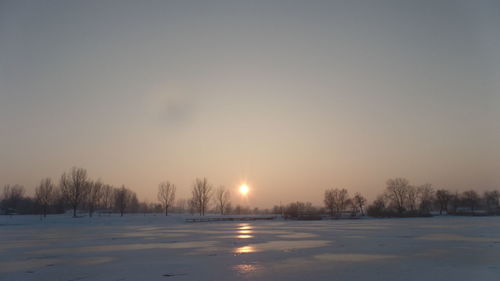 Snow covered trees against sky during sunset