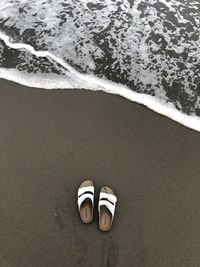 Low section of man standing on beach