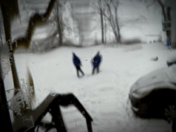 View of snow covered landscape