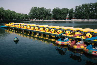 Duck paddle boats