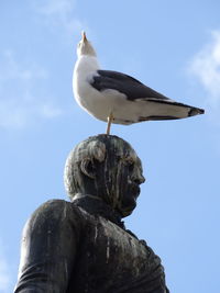 Low angle view of seagull on statue against sky